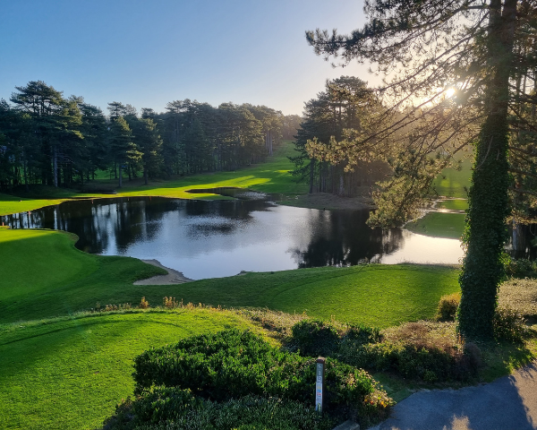 Golf d’Hardelot – Surmonter la Tempête Ciaran avec Résilience et Optimisme - Open Golf Club