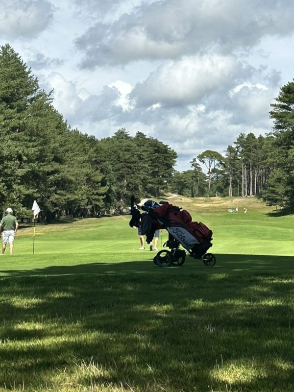 Photo sac de golf trou 18 des pins