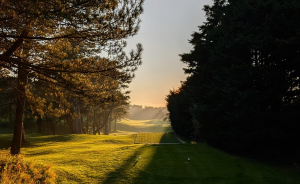 Entretien d’hiver sur les parcours - Open Golf Club